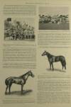Illustrated London News Saturday 01 April 1899 Page 17
