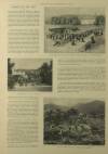 Illustrated London News Saturday 01 July 1899 Page 14