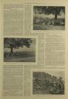 Illustrated London News Saturday 08 July 1899 Page 23