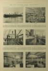 Illustrated London News Saturday 15 July 1899 Page 19