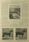 Illustrated London News Saturday 17 March 1900 Page 6