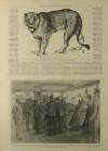 Illustrated London News Saturday 18 August 1900 Page 8