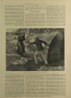 Illustrated London News Saturday 01 September 1900 Page 11