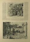 Illustrated London News Saturday 22 September 1900 Page 8