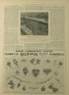 Illustrated London News Saturday 22 December 1900 Page 33