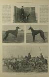 Illustrated London News Saturday 02 March 1901 Page 23