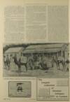 Illustrated London News Saturday 31 August 1901 Page 29