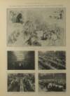 Illustrated London News Saturday 12 July 1902 Page 14
