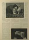 Illustrated London News Saturday 11 October 1902 Page 27