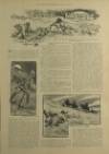 Illustrated London News Saturday 29 July 1905 Page 9