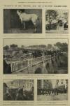 Illustrated London News Saturday 09 June 1906 Page 30
