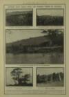 Illustrated London News Saturday 16 February 1907 Page 26