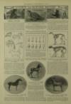 Illustrated London News Saturday 15 June 1907 Page 10