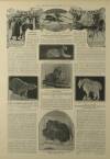 Illustrated London News Saturday 10 August 1907 Page 14