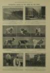 Illustrated London News Saturday 22 February 1908 Page 25