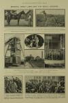 Illustrated London News Saturday 29 February 1908 Page 25