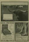 Illustrated London News Saturday 27 February 1909 Page 32