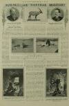 Illustrated London News Saturday 07 August 1909 Page 19
