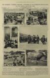 Illustrated London News Saturday 08 July 1911 Page 20