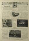 Illustrated London News Saturday 15 June 1912 Page 12