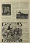 Illustrated London News Saturday 01 March 1913 Page 29