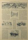 Illustrated London News Saturday 15 November 1913 Page 19
