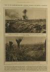 Illustrated London News Saturday 28 November 1914 Page 12