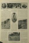 Illustrated London News Saturday 26 December 1914 Page 17