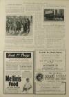 Illustrated London News Saturday 20 March 1915 Page 25