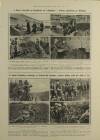 Illustrated London News Saturday 01 April 1916 Page 5