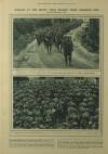 Illustrated London News Saturday 13 May 1916 Page 15