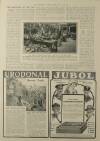 Illustrated London News Saturday 28 April 1917 Page 25