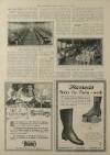 Illustrated London News Saturday 10 November 1917 Page 29