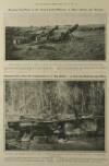 Illustrated London News Saturday 10 August 1918 Page 2