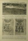 Illustrated London News Saturday 08 February 1919 Page 8