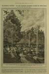Illustrated London News Saturday 26 July 1919 Page 24