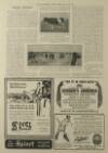 Illustrated London News Saturday 10 January 1920 Page 29