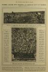 Illustrated London News Saturday 07 February 1920 Page 17