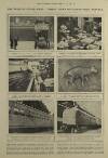 Illustrated London News Saturday 21 February 1920 Page 3