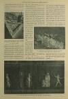 Illustrated London News Saturday 13 March 1920 Page 19