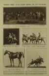 Illustrated London News Saturday 25 June 1921 Page 7
