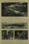 Illustrated London News Saturday 17 March 1923 Page 8