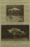 Illustrated London News Saturday 14 July 1923 Page 15