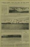 Illustrated London News Saturday 29 December 1923 Page 12