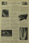 Illustrated London News Saturday 01 March 1924 Page 20