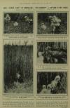 Illustrated London News Saturday 11 April 1925 Page 16