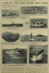 Illustrated London News Saturday 20 February 1926 Page 17