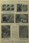 Illustrated London News Saturday 20 March 1926 Page 22