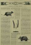 Illustrated London News Saturday 14 May 1927 Page 2