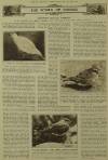 Illustrated London News Saturday 20 August 1927 Page 12